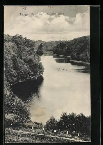 AK Tiefensee /Mark, Langer See mit Waldumgebung