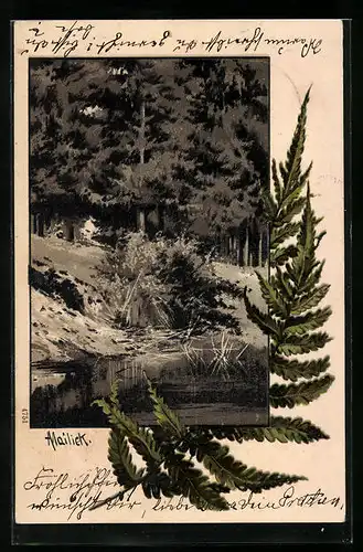 Künstler-AK Alfred Mailick: Waldpartie und Zweige