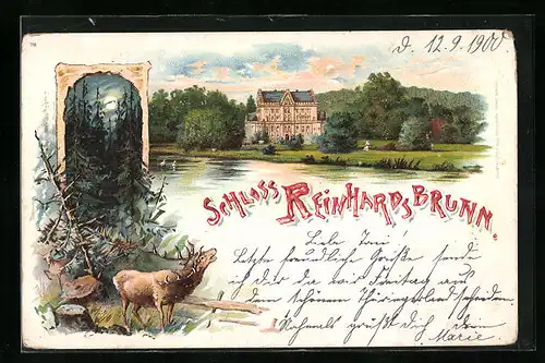 Lithographie Friedrichroda-Reinhardsbrunn, Schloss Rheinhardsbrunn, Waldpartie mit Hirsch bei Mondschein