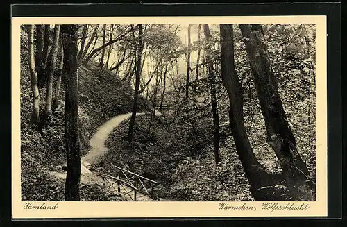 AK Samland, Trampelpfad zur Wolfsschlucht