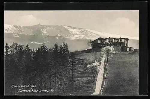 AK Bismarckhöhe /Riesengebirge, Panorama