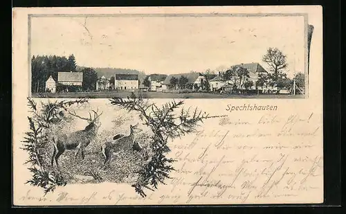 AK Spechtshausen, Hirsch im Wald, Gesamtansicht