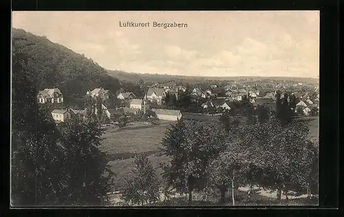 AK Bergzabern, Ortsansicht aus der Vogelschau