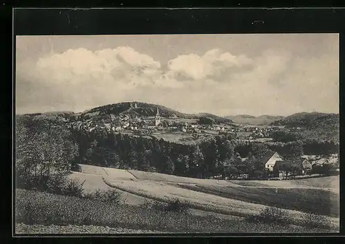 AK Oerlinghausen, Ortsansicht mit Wiesen