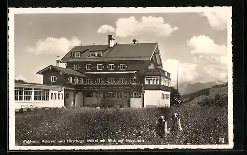 AK Hirschegg, Gasthaus Waldemar Petersenhaus mit Bernhardinern und Nebelhorn
