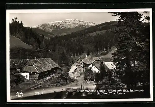 AK Stoien, Gasthof Hinterleitner, Teilansicht mit Rax