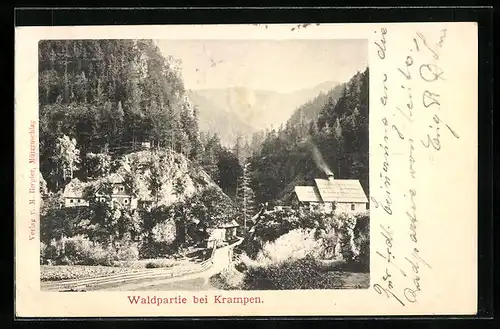 AK Krampen, Waldpartie, Alpenpanorama