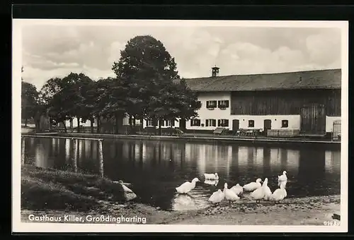 Foto-AK Grossdingharting, Ententeich am Gasthaus Killer