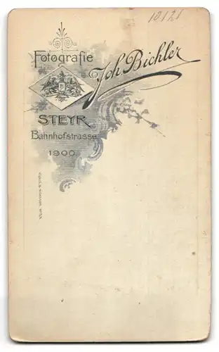 Fotografie Joh. Bichler, Steyr, Bahnhofstr. 1900, Junge Dame mit Hochsteckfrisur