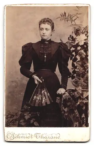 Fotografie O. Schmidt, Tharand, Ricke und Rehbock stehen im Wald mit Blick zur Stadt