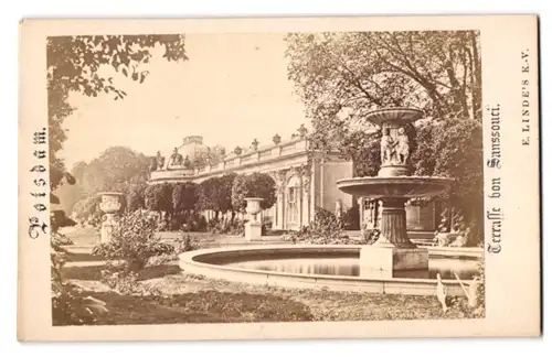 Fotografie E. Linde, Potsdam, Ansicht Potsdam, Blick auf die Terassen des Schloss Sanssouci