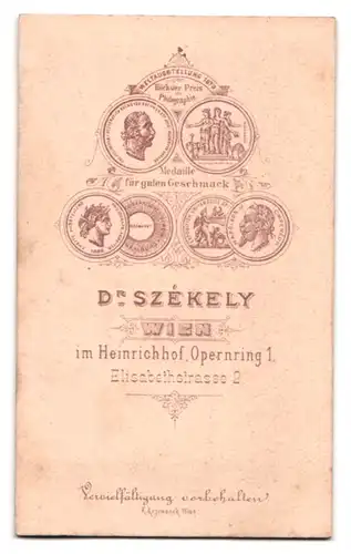 Fotografie Dr. Szekely, Wien, Portrait korpulenter Herr im Anzug mit Fliege