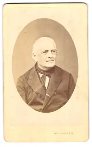 Fotografie L. Haase & Co., Berlin, Portrait älterer Herr im Anzug mit Halstuch