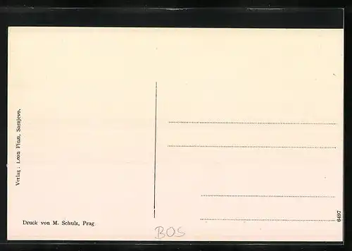 AK Sarajewo, Panorama