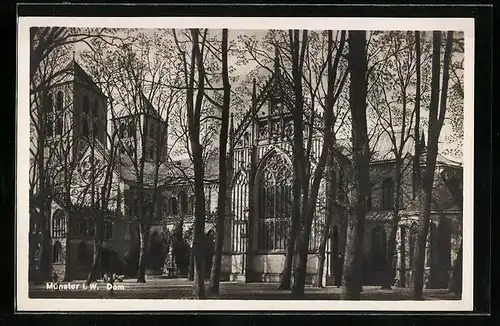 AK Münster i. W., Dom mit Gartenanlage