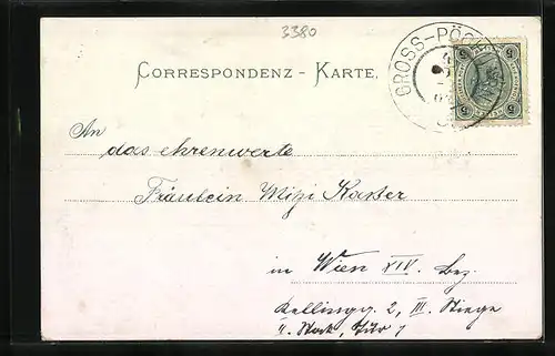 AK Pöchlarn, Dampfer auf dem Fluss in voller Fahrt, Ortsansicht