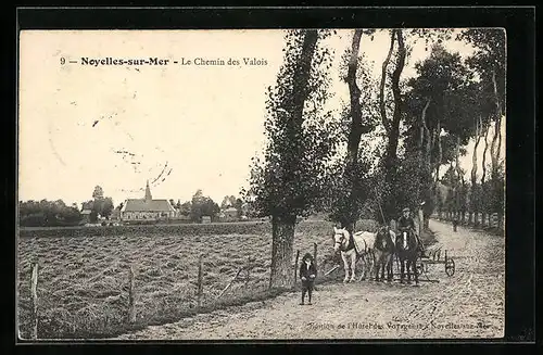 AK Noyelles-sur-Mer, Le Chemin des Valois