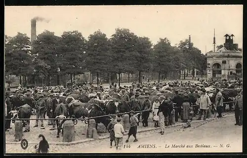 AK Amiens, Le Marché aux Bestiaux