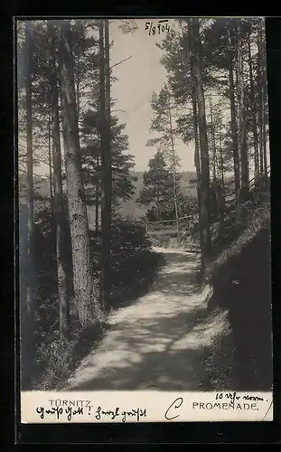 AK Türnitz, Promenade im Wald