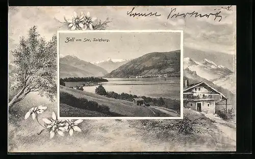 AK Zell am See, Panorama mit See und Gebirge