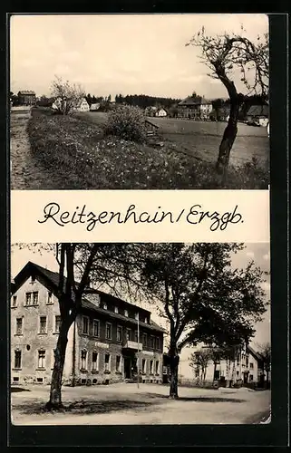 AK Reitzenhain /Erzg., Dorfgasthof und Panorama