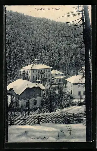 AK Kipsdorf, Hotel Fürstenhof im Winter