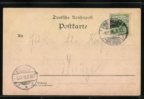 Lithographie Freiburg i. B., Münster, Totalansicht vom Lorettoberg