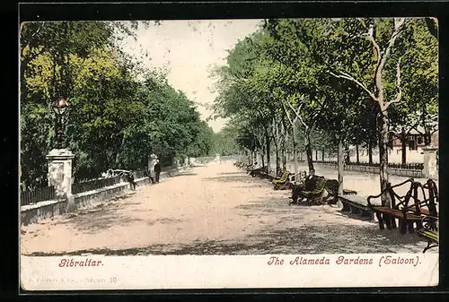 AK Gibraltar, The Alameda Gardens