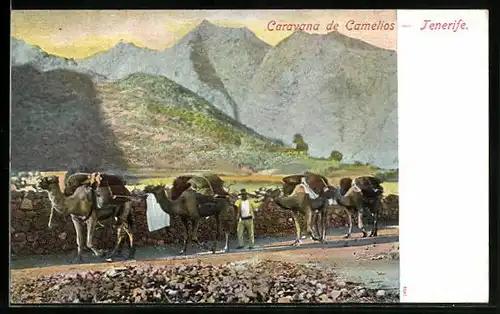 AK Tenerife, Caravana de Camelios
