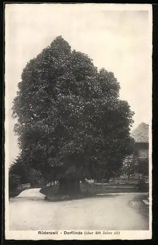 AK Rüderswil, Dorflinde