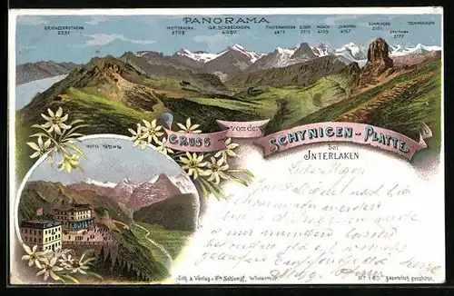 Lithographie Interlaken, Schynigen-Platte, Hotel, Panorama mit Bergkette