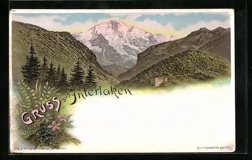 Lithographie Interlaken, Bewaldete Gebirgslandschaft mit Hotel in den Bergen