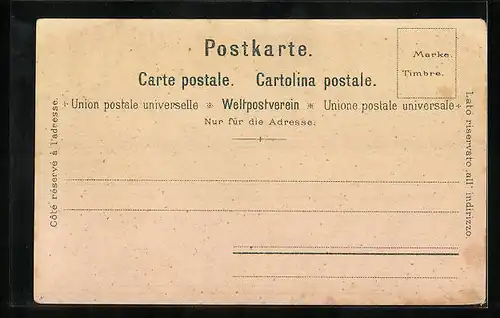 Lithographie Interlaken, Bewaldete Gebirgslandschaft mit Hotel in den Bergen