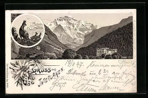 Lithographie Interlaken, Alpenlandschaft mit Hotel und Gämse