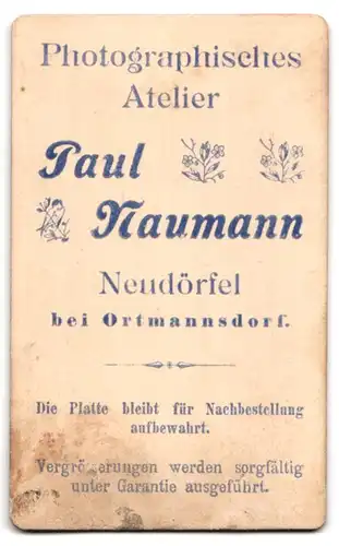 Fotografie Paul Naumann, Neudörfel bei Ortmannsdorf, Junger Herr im Anzug mit Fliege