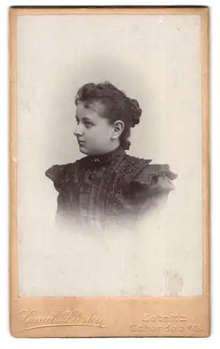 Fotografie E. Lieske, Sebnitz, Langestr., Junge Dame im bestickten Kleid