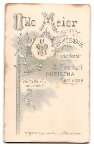 Fotografie Otto Meier, Dippoldiswalde, Niedertorstr., Junger Herr im Anzug mit Krawatte
