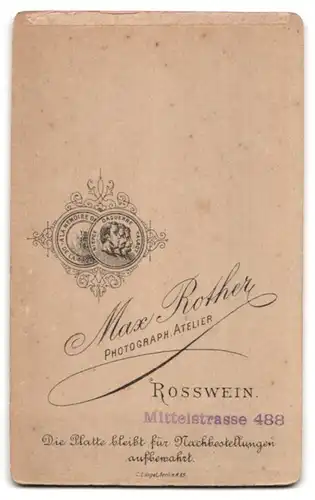 Fotografie Max Rother, Rosswein, Mittelstr. 488, Hübscher Knabe im Samtanzug