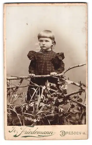 Fotografie Tr. Friedemann, Dresden-A., Rosenstrasse 48, Kleines Mädchen mit süssem Pagenschnitt