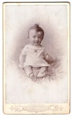 Fotografie J. Schröck, Speyer, Mühlthurmstrasse 10, Süsses Kleinkind auf Fell sitzend