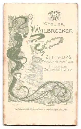 Fotografie Atelier Walbrecker, Zittau, Theodor-Körner-Allee, Junger Bursche mit massgeschneidertem Anzug