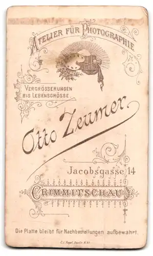 Fotografie O. Zeumer, Crimmitschau, Jacobsgasse 14, Ernst blickender Jüngling mit Fliege