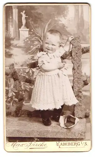 Fotografie Max Türcke, Radeberg i. Sa., Langestrasse 1, Kleinkind im süssen Kleid und mit einer Tüte Biscuits