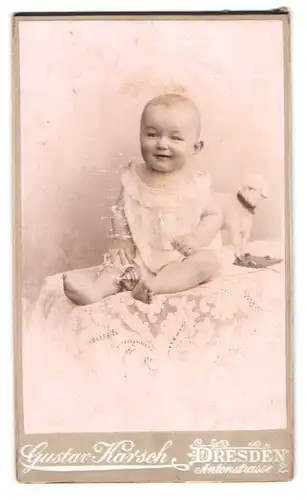 Fotografie Gustav Karsch, Dresden, Antonstrasse 2, Lachendes Kleinkind mit Rassel und Lamm