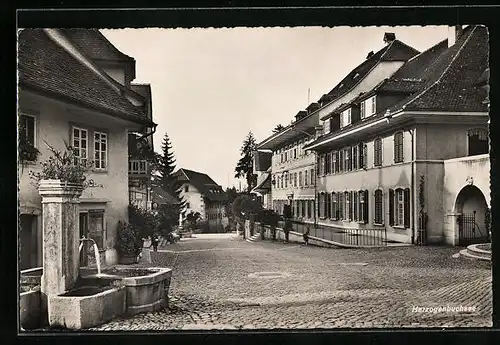 AK Herzogenbuchsee, Strassenpartie mit Brunnen