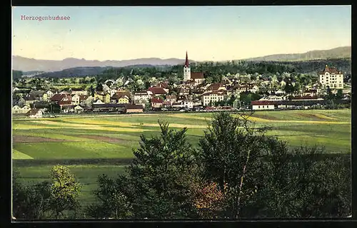 AK Herzogenbuchsee, Ortsansicht aus der Vogelschau