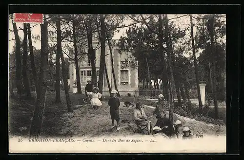 AK Cayeux, Brighton-Francais, Dans les Bois de Sapins