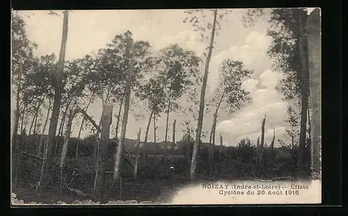 AK Noizay, Effets, Cyclone du 26 Aout 1916
