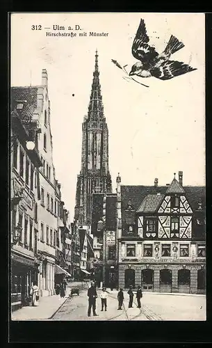 AK Ulm a. D., Hirschstrasse mit Münster