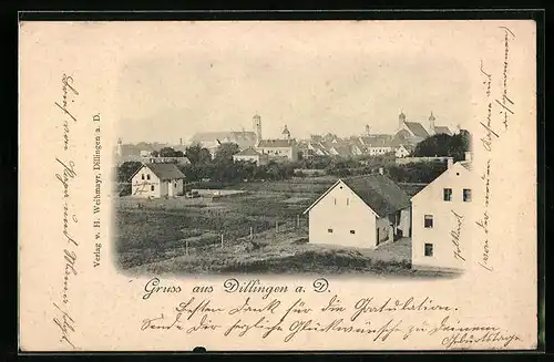 AK Dillingen a. D., Ortsansicht, Kirche